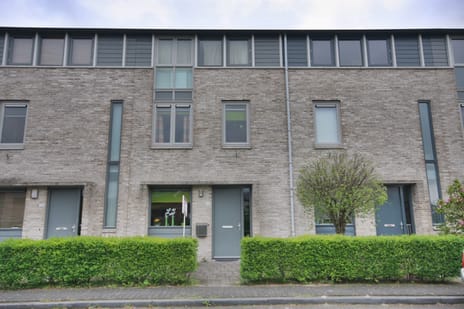 undefined main image