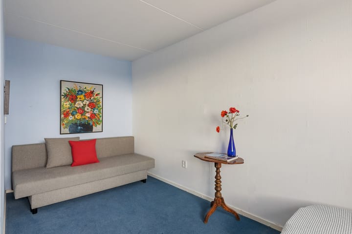 Foto 18 van Haerstraat 52