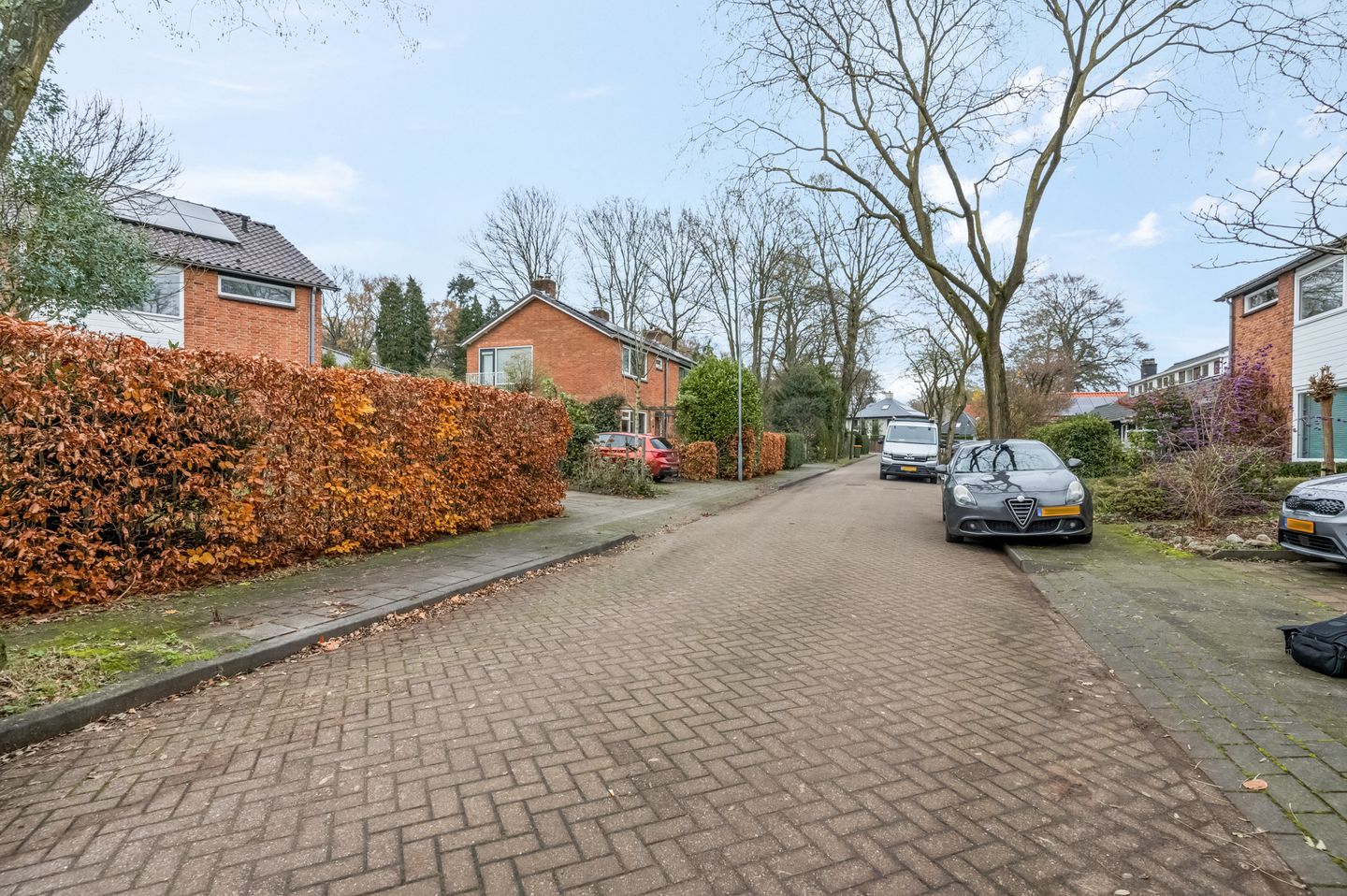 Photo 50 of Burgemeester Creutzlaan 17