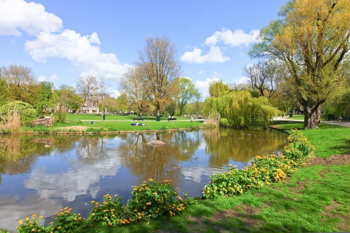 Foto 26 van Albert Cuypstraat 153-C