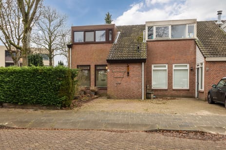 Jeneverbes thumbnail