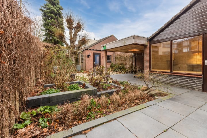 Photo 5 of Jeneverbes 30