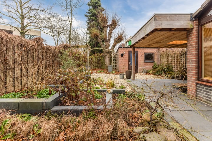 Photo 28 of Jeneverbes 30