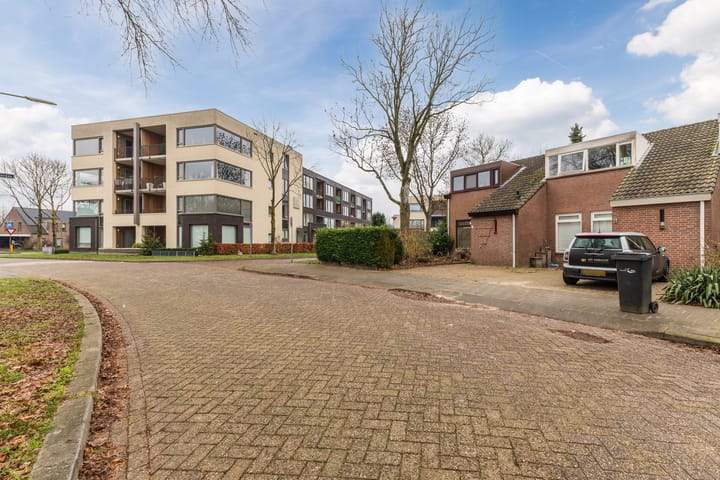 Photo 31 of Jeneverbes 30