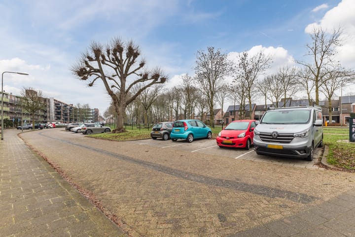 Photo 34 of Jeneverbes 30