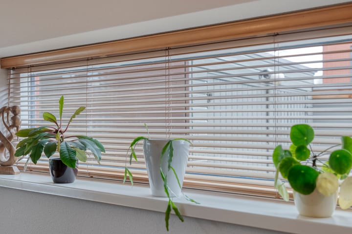 Foto 10 van Drapenierlaan 78