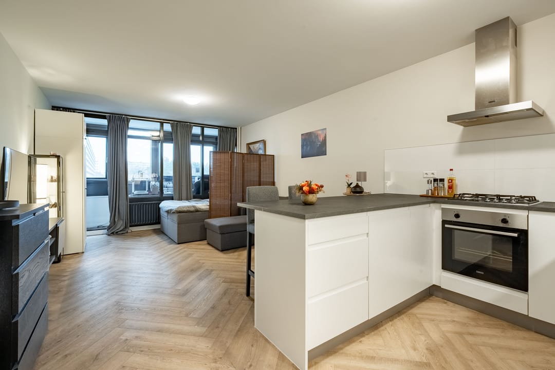 Foto 2 van Laan van Vollenhove 300