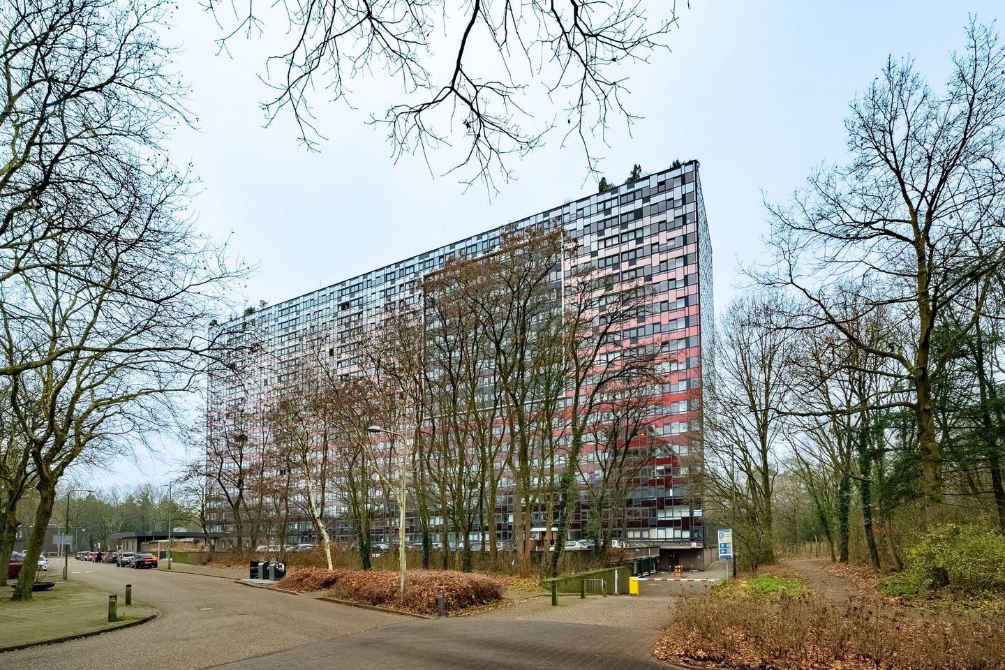 Foto 19 van Laan van Vollenhove 300