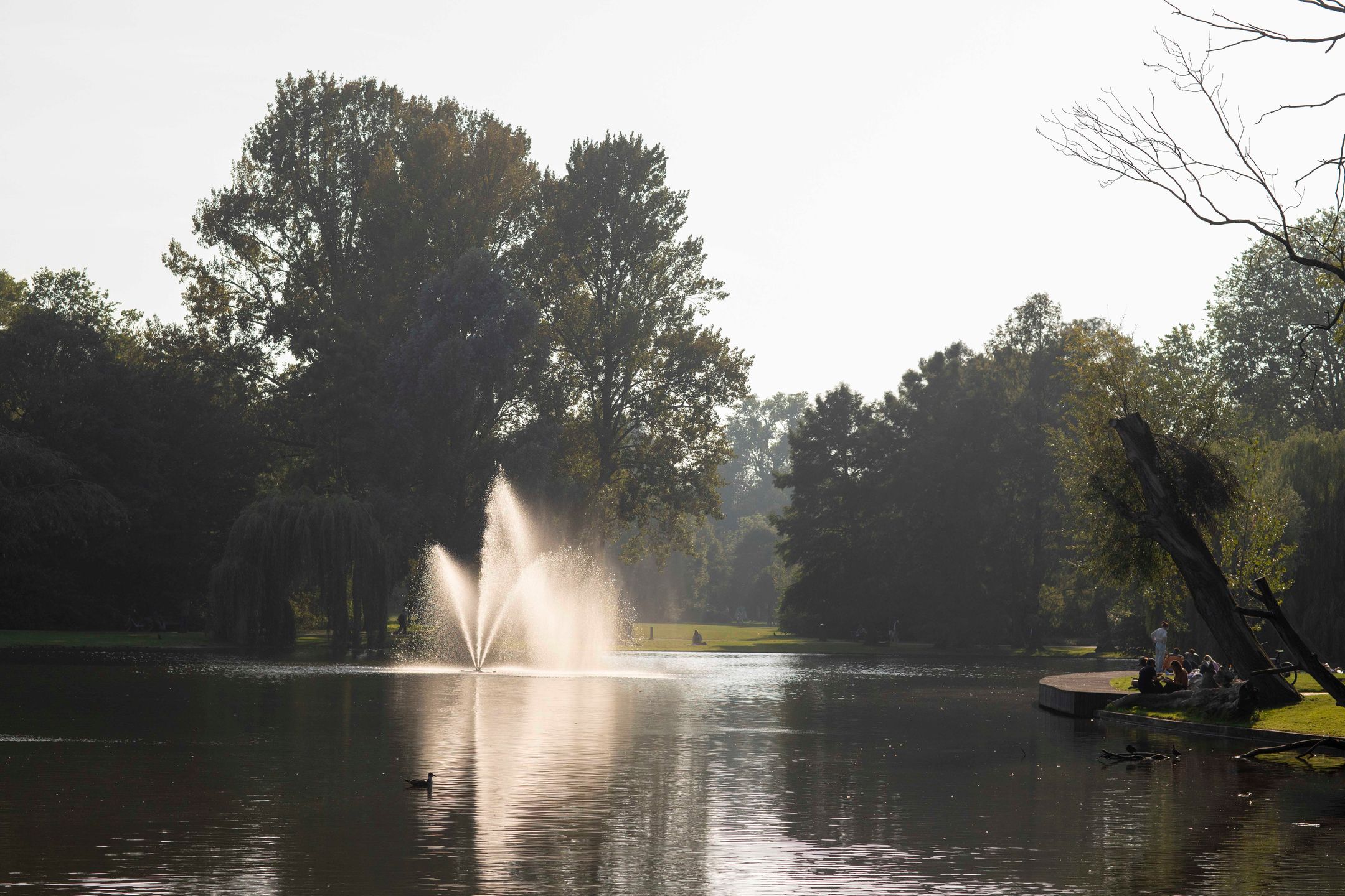 Photo 30 of Afrikanerplein 15-2