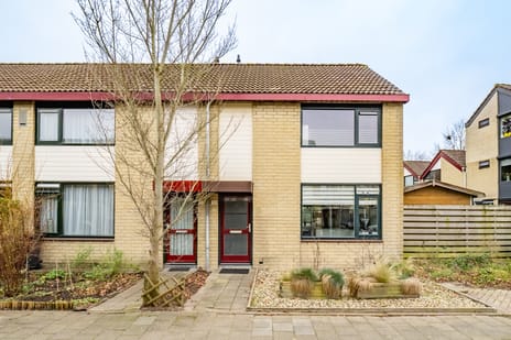 undefined main image