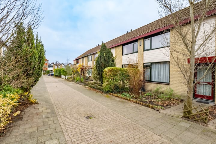 Foto 40 van Tholen 51