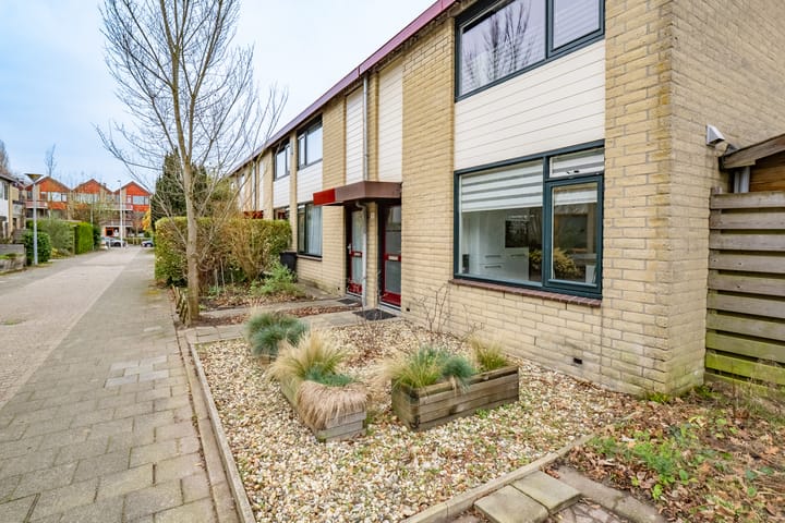 Foto 42 van Tholen 51