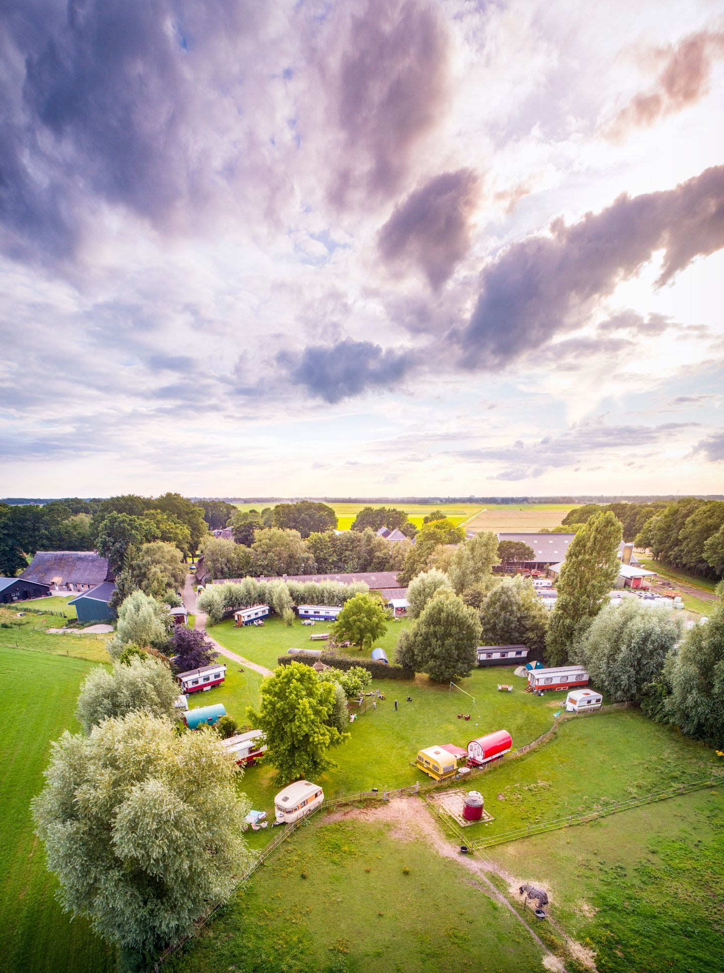 Bekijk foto 1 van Den Hool 5