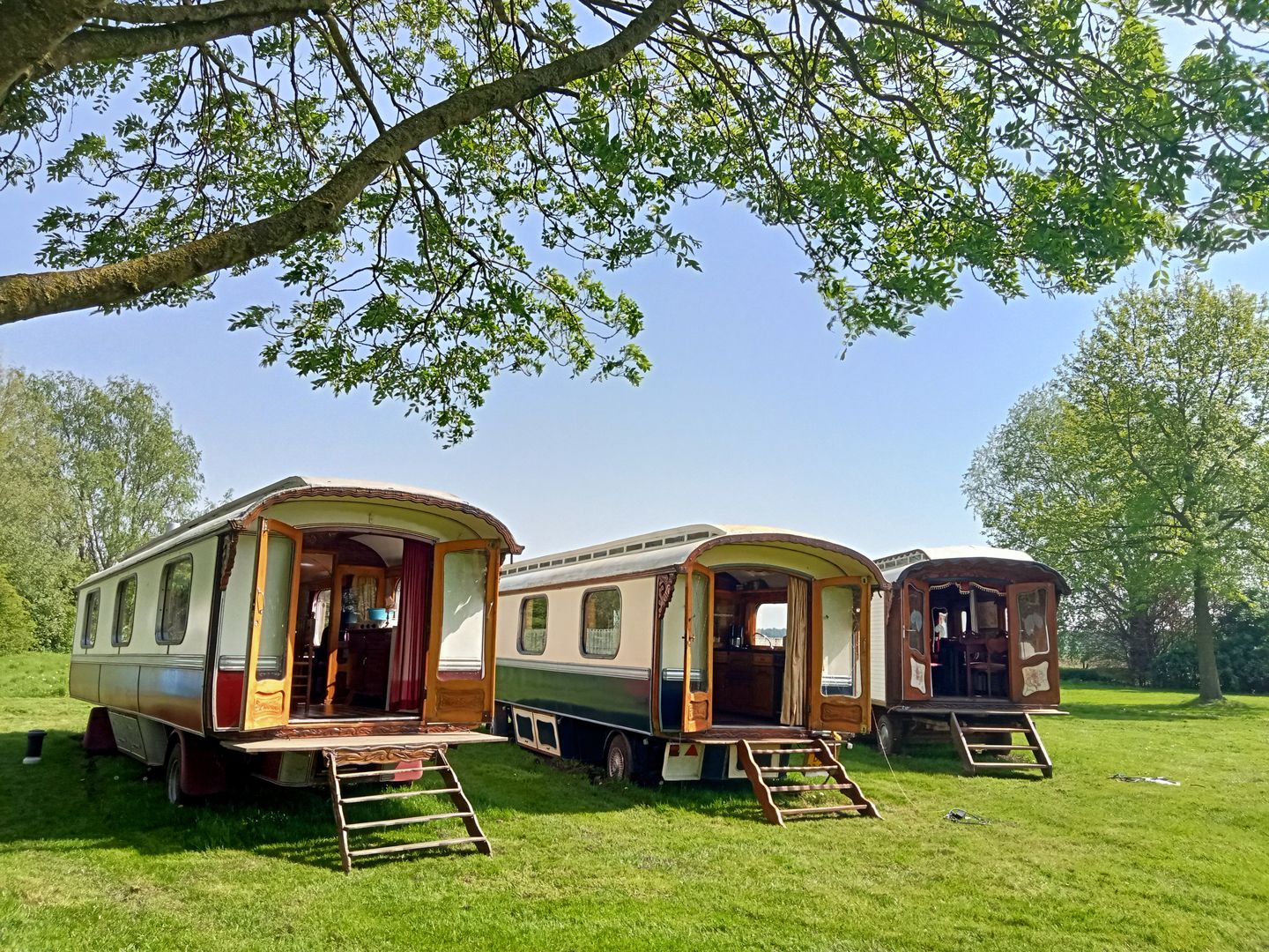 Bekijk foto 5 van Den Hool 5