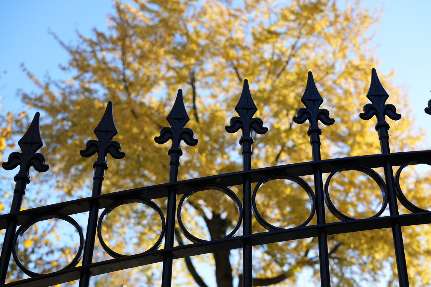 Foto 5 van Julianastraat 9