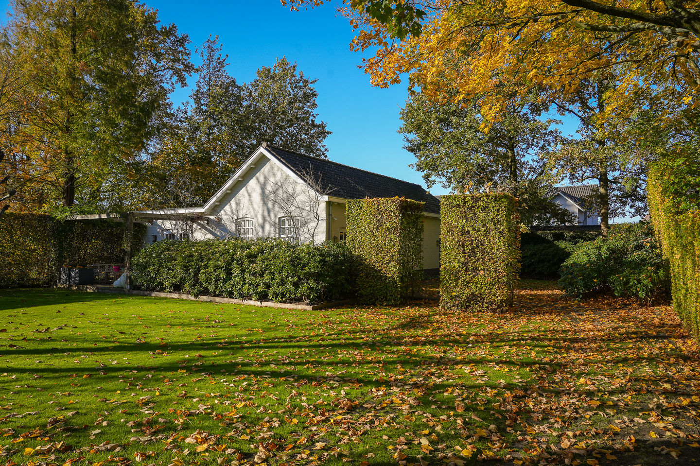 Foto 65 van Julianastraat 9