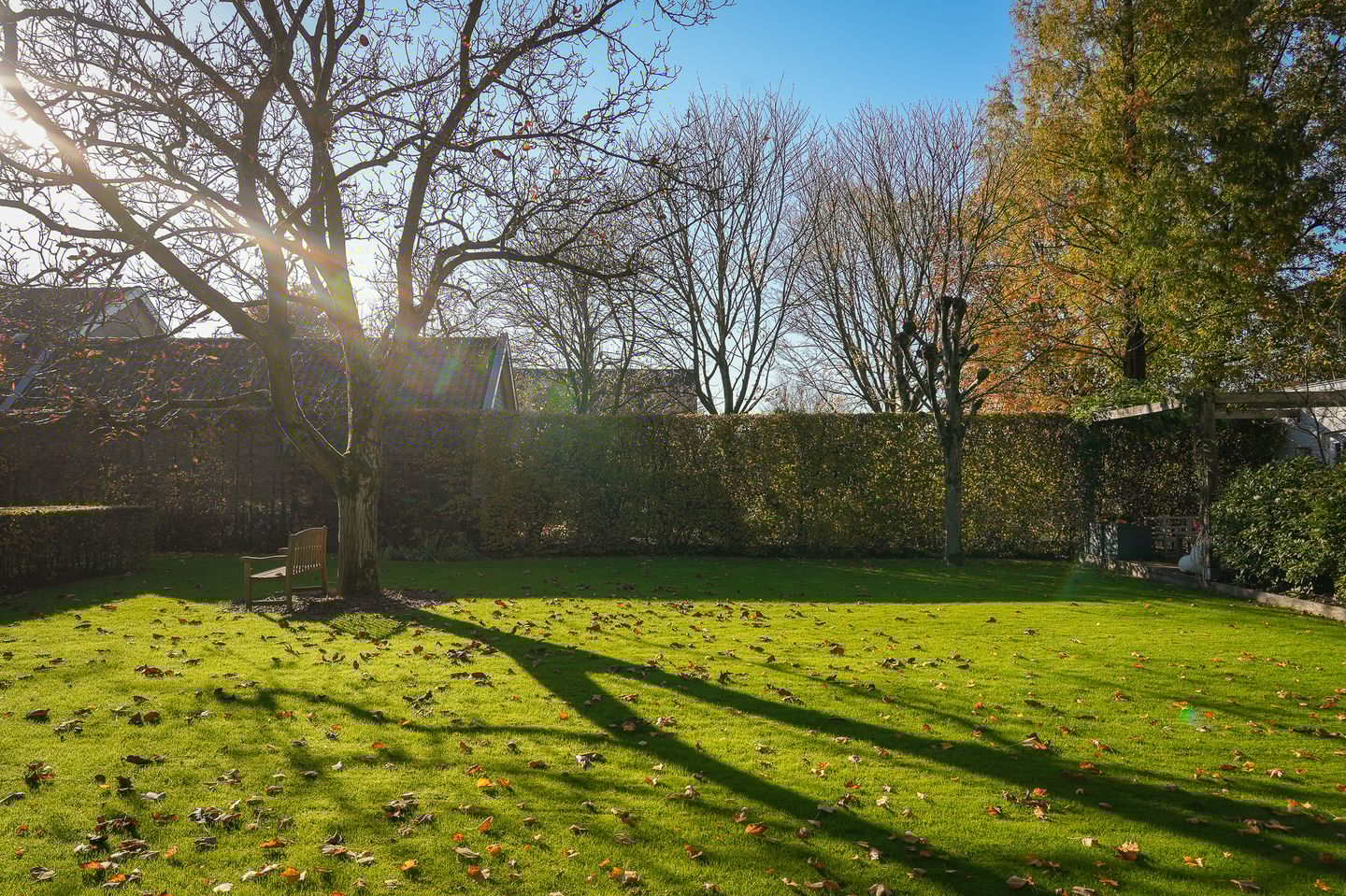 Foto 80 van Julianastraat 9