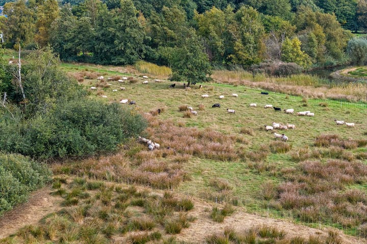 Foto 51 van Smaragdstoep 11