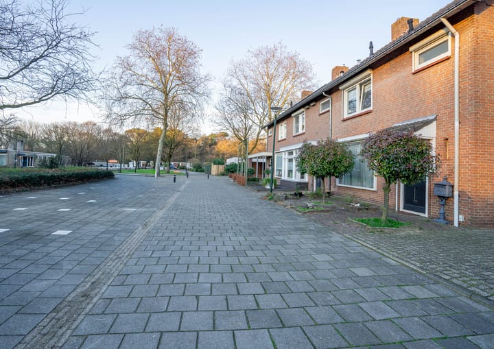 Foto 47 van Willemstraat 38