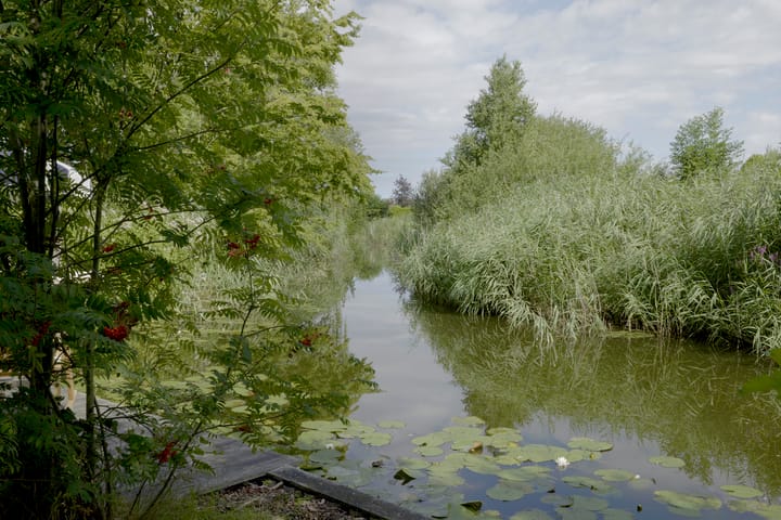 Foto 60 van Zuideinde 32-B