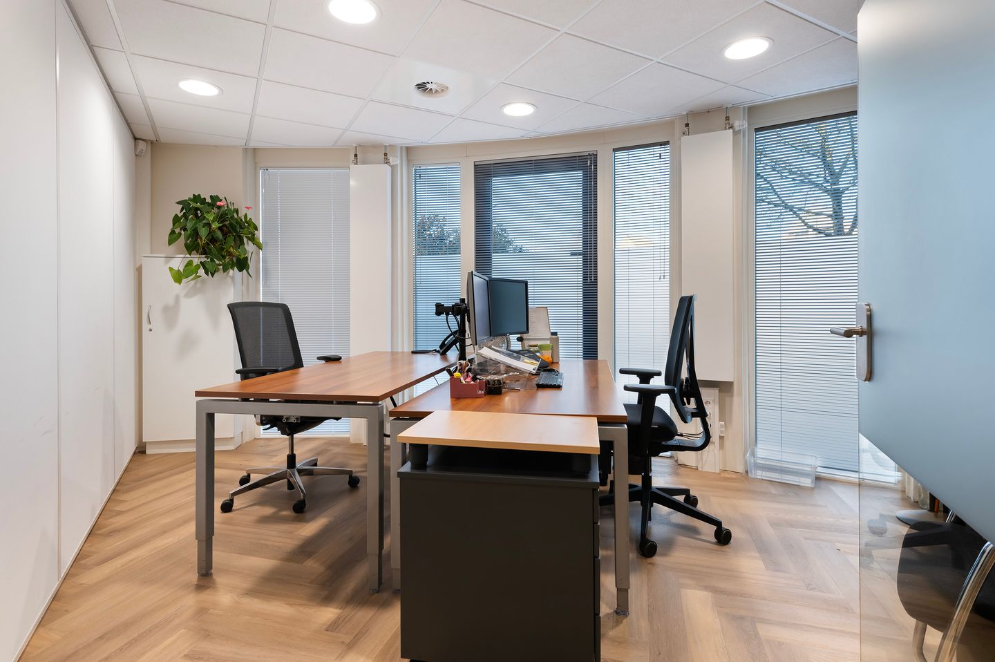 Bekijk foto 2 van Prins Willem-Alexanderlaan 717