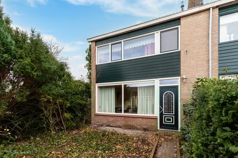 undefined main image