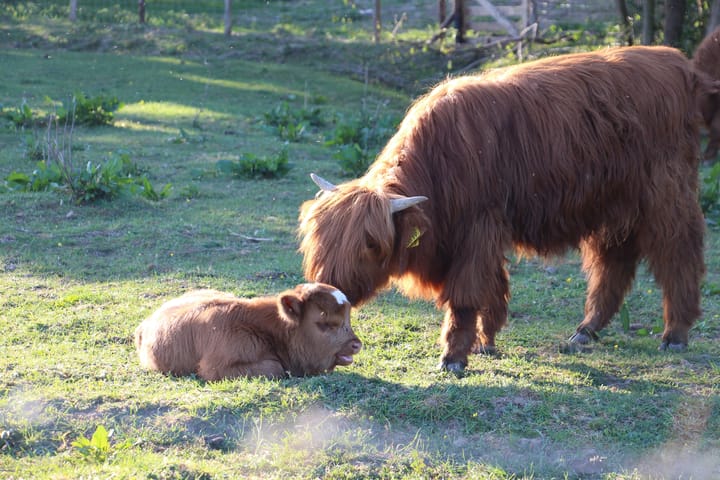 Foto 33 van Veldoven 34