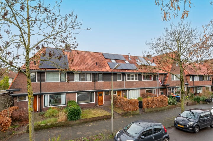 Foto 2 van Dollardstraat 6