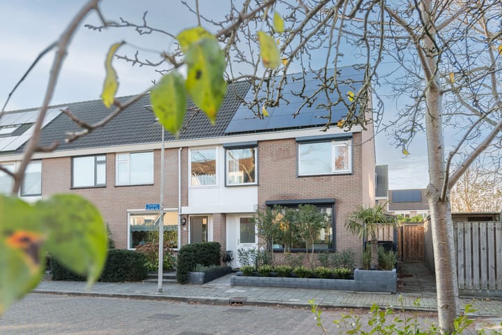 Foto 34 van Tarbot 31