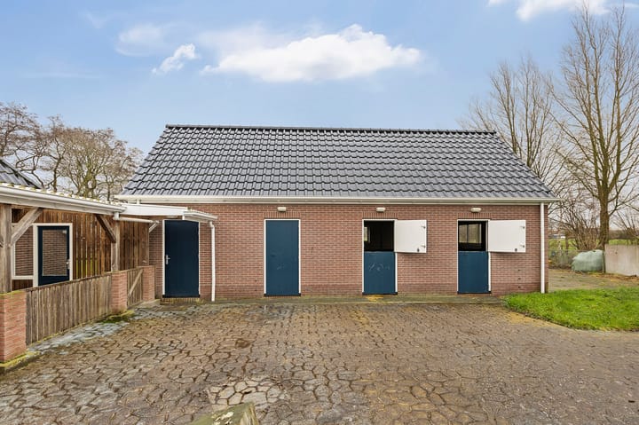 Foto 37 van Bombay 6