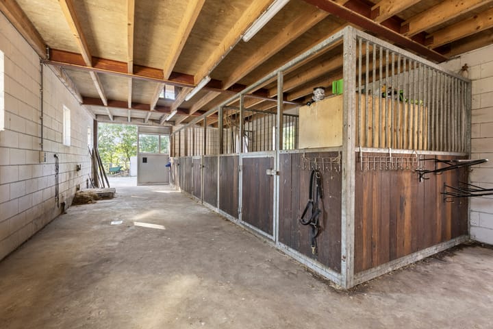 Foto 38 van Bombay 6