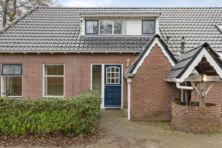 Foto 51 van Bombay 6