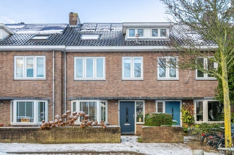 Kogelbloemstraat thumbnail