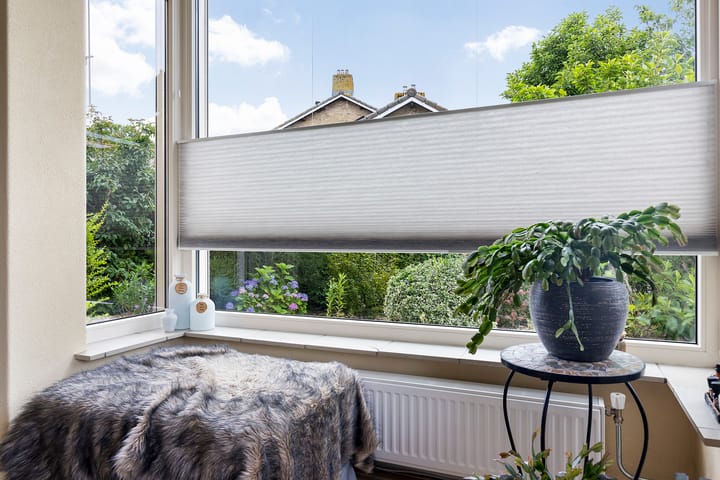 Photo 5 of Lege Leane 6