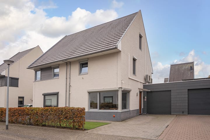 Krulbolruwe 4 main image