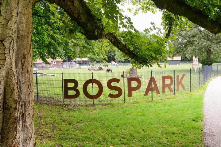 Photo 21 of Van der Doesstraat 3