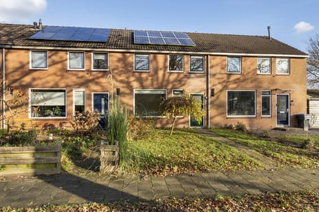 undefined main image