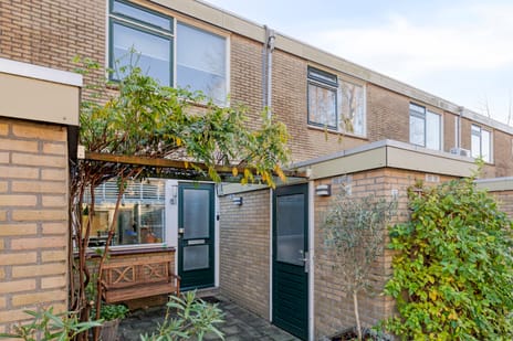 undefined main image