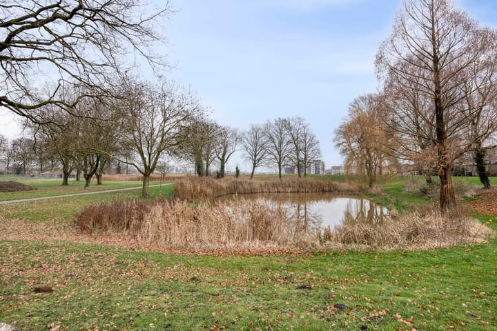 Foto 38 van Wulpstraat 15