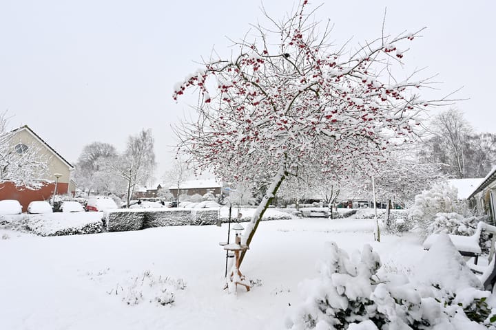 Foto 16 van B. van Rooijenstraat 20