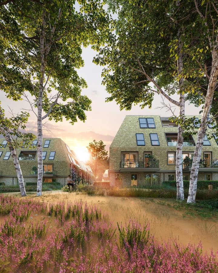 Photo 7 of Trappenberg