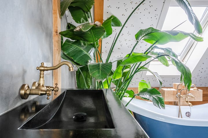 Foto 42 van Nova Zembla 4