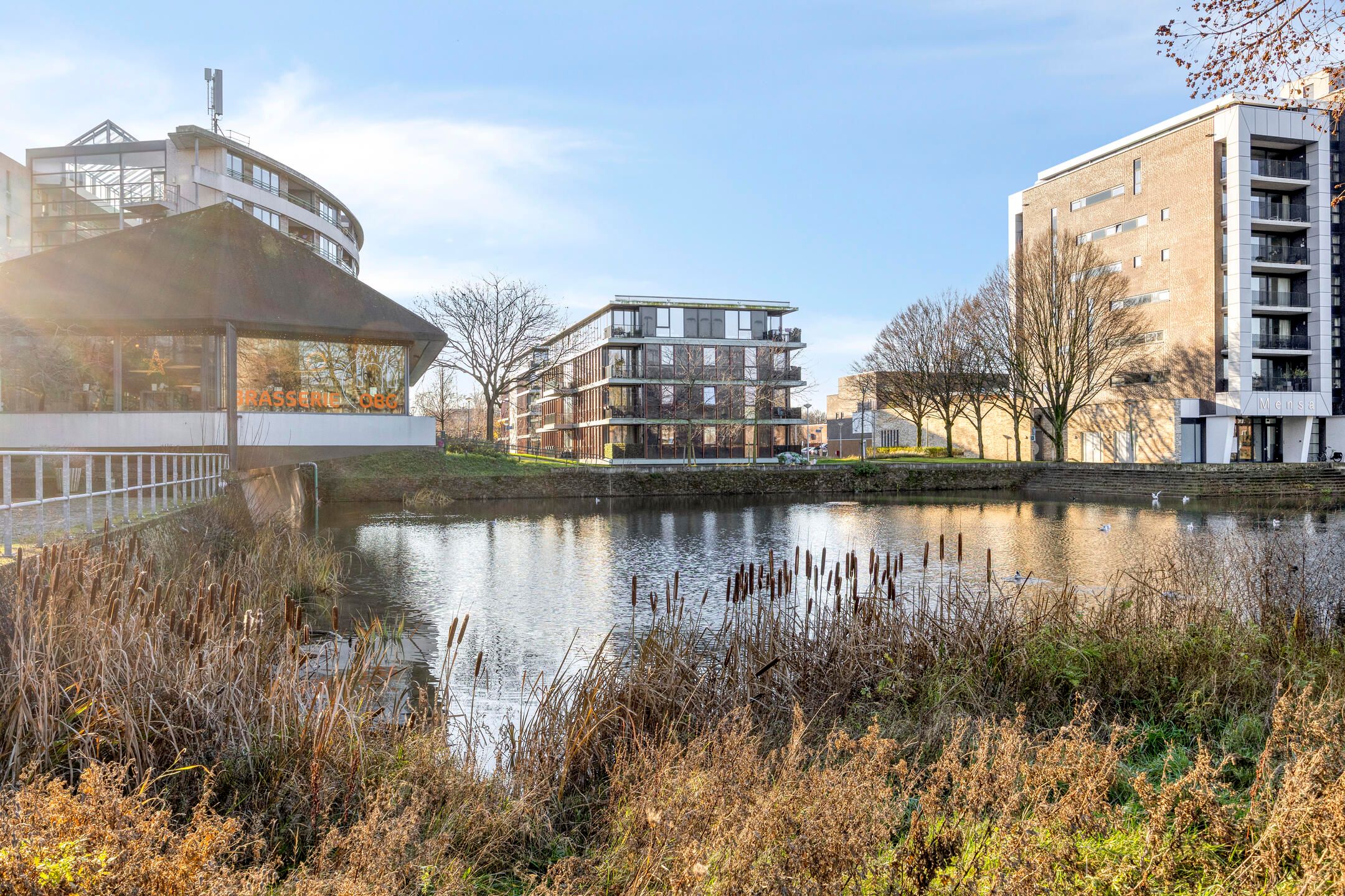 Foto 30 van Delistraat 71