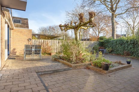 Carolinen 8 secondary image