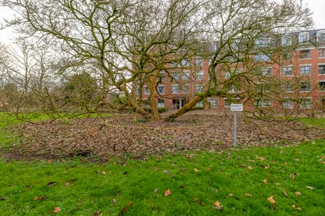 Torckpark 11 tertiary image