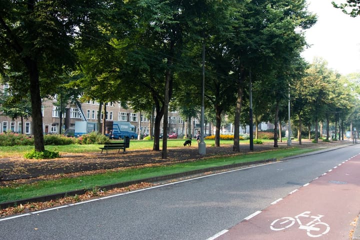 Foto 21 van Churchill-laan 36-3