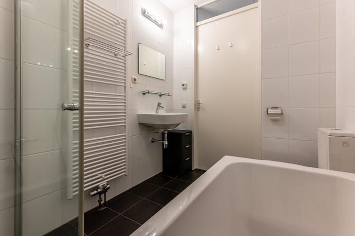 Foto 24 van Minstreel 29