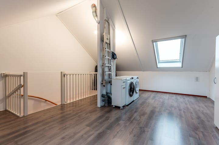 Foto 28 van Minstreel 29