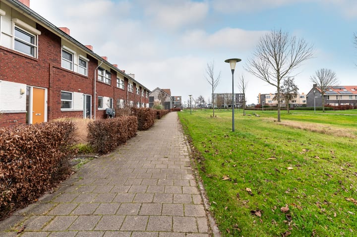 Foto 38 van Minstreel 29