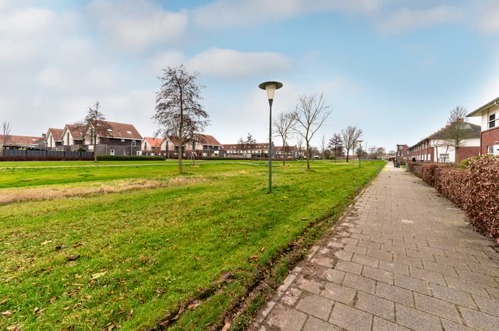 Foto 39 van Minstreel 29